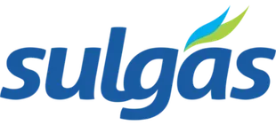 + de 20 processos de negócio automatizados company logo